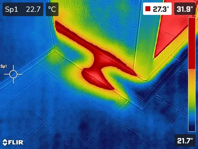 Trace And Access Leak Detection